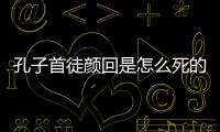 孔子首徒顏回是怎么死的?為打撈書(shū)籍著涼生病去世