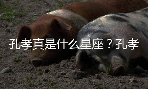 孔孝真是什么星座？孔孝真星座詳解