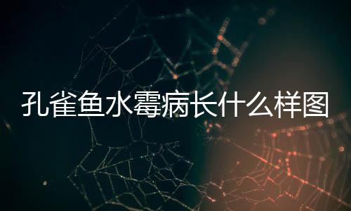 孔雀魚水霉病長什么樣圖片？孔雀魚得了水霉病的照片及特征