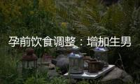 孕前飲食調(diào)整：增加生男孩的機(jī)會(huì)，了解寶寶性別的影響