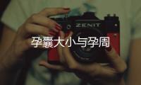 孕囊大小與孕周