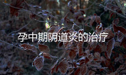 孕中期陰道炎的治療