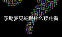 孕期夢見蛇是什么預兆看這，據說和生男生女有關還很準
