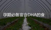 孕期必備富含DHA的食物推薦，寶寶智力發育從飲食開始