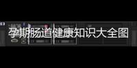 孕期腸道健康知識大全圖片包括孕期腸道健康知識大全的具體內容