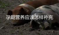 孕期營(yíng)養(yǎng)應(yīng)該怎樣補(bǔ)充