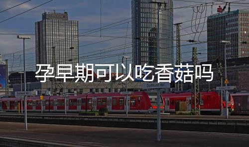孕早期可以吃香菇嗎