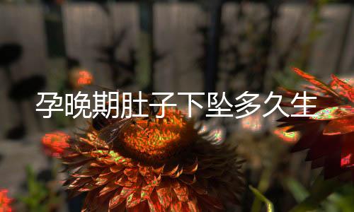 孕晚期肚子下墜多久生
