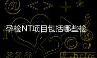 孕檢NT項目包括哪些檢查內容？