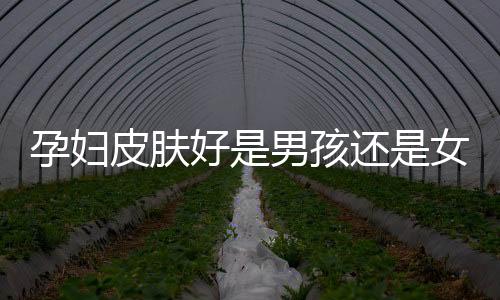 孕婦皮膚好是男孩還是女孩