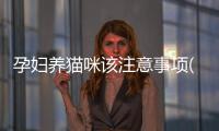 孕婦養貓咪該注意事項(新貓咪帶回家注意事項)