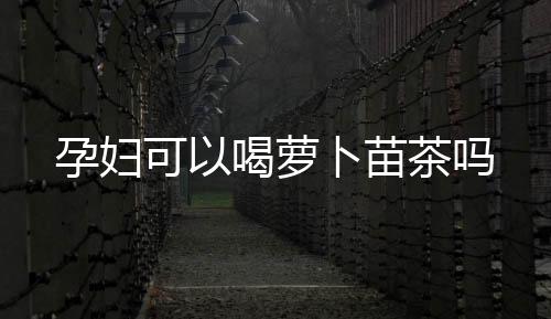 孕婦可以喝蘿卜苗茶嗎