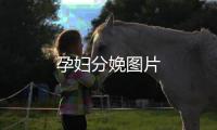 孕婦分娩圖片