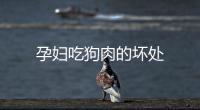 孕婦吃狗肉的壞處
