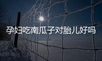 孕婦吃南瓜子對胎兒好嗎