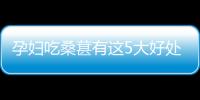 孕婦吃桑葚有這5大好處,姐妹們都知道嗎?