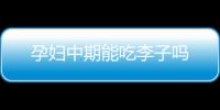 孕婦中期能吃李子嗎