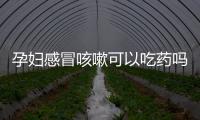 孕婦感冒咳嗽可以吃藥嗎
