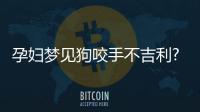 孕婦夢見狗咬手不吉利?相關(guān)胎夢解讀