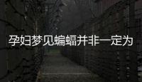 孕婦夢見蝙蝠并非一定為壞事!相關胎夢含義解讀