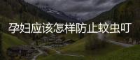 孕婦應該怎樣防止蚊蟲叮咬