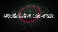 孕婦能給貓咪治病嗎視頻？孕婦可以幫貓咪驅蟲嗎