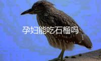 孕婦能吃石榴嗎