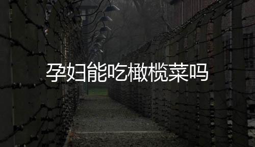 孕婦能吃橄欖菜嗎