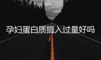 孕婦蛋白質攝入過量好嗎