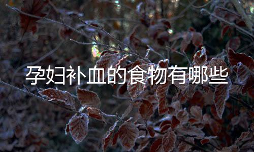 孕婦補血的食物有哪些