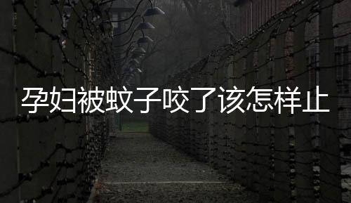孕婦被蚊子咬了該怎樣止庠