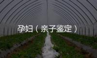 孕婦（親子鑒定）