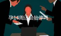 孕14周還會胎停嗎