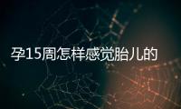 孕15周怎樣感覺胎兒的存在（胎兒發(fā)育情況及孕期注意事項）