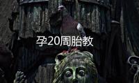 孕20周胎教