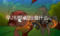 孕28周b超檢查什么