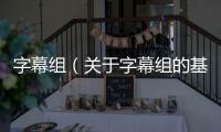 字幕組（關于字幕組的基本情況說明介紹）