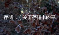 存儲卡（關于存儲卡的基本情況說明介紹）