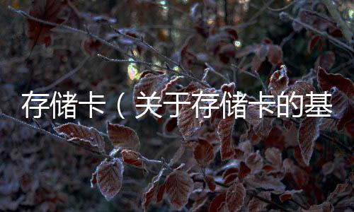 存儲卡（關于存儲卡的基本情況說明介紹）