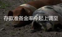 存款準(zhǔn)備金率今起上調(diào)至20%