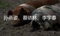 孫燕姿、蔡依林、李宇春OPPO R11盛典同臺！【數(shù)碼&手機(jī)】風(fēng)尚中國網(wǎng)