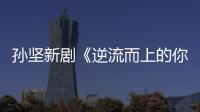 孫堅(jiān)新劇《逆流而上的你》開播 聚焦家庭拒絕閃婚