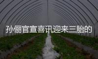孫儷官宣喜訊迎來三胎的欣喜與感恩