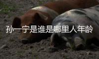 孫一寧是誰(shuí)是哪里人年齡多大 王思聰為什么要錘孫一寧