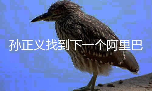 孫正義找到下一個阿里巴巴？