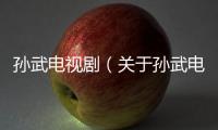 孫武電視劇（關于孫武電視劇的基本情況說明介紹）
