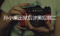 孫小果出獄后涉黑犯罪二審宣判：維持一審25年有期徒刑判決