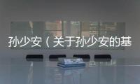 孫少安（關(guān)于孫少安的基本情況說明介紹）
