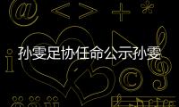 孫雯足協(xié)任命公示孫雯