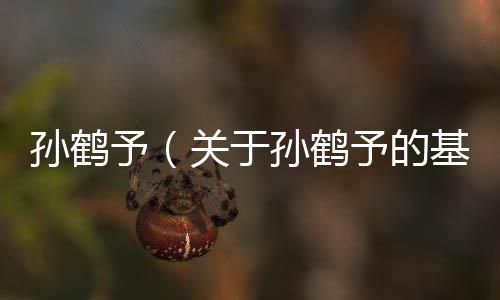 孫鶴予（關于孫鶴予的基本情況說明介紹）
